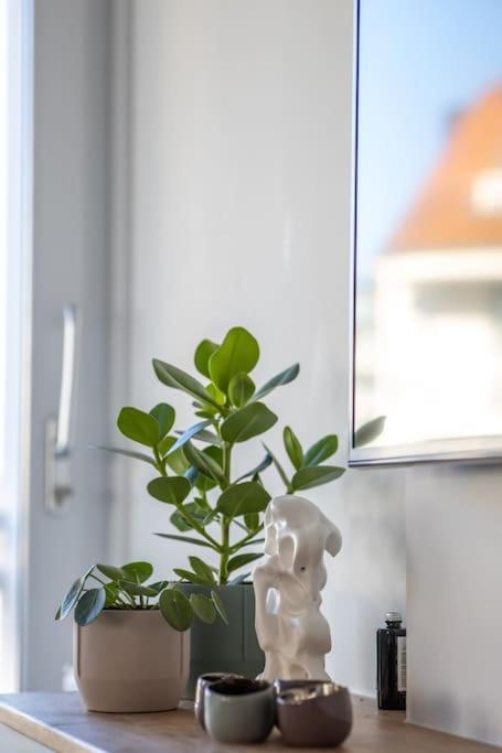Home Away, Light And Bright Cadzand Eksteriør billede